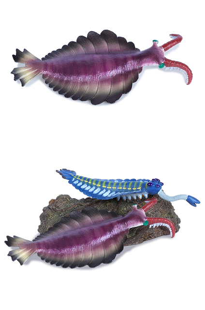 Symulacja starożytnego stworzenia morskiego - Eurypterida TRILONITES. Model zabawki przedstawiający głowę dziwnej krewetki, żółwia, skorpiona. Prezent dla miłośników dinozaurów - Wianko - 4