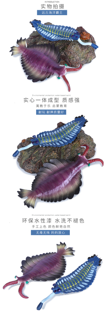 Symulacja starożytnego stworzenia morskiego - Eurypterida TRILONITES. Model zabawki przedstawiający głowę dziwnej krewetki, żółwia, skorpiona. Prezent dla miłośników dinozaurów - Wianko - 1
