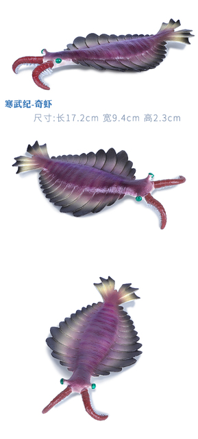 Symulacja starożytnego stworzenia morskiego - Eurypterida TRILONITES. Model zabawki przedstawiający głowę dziwnej krewetki, żółwia, skorpiona. Prezent dla miłośników dinozaurów - Wianko - 3