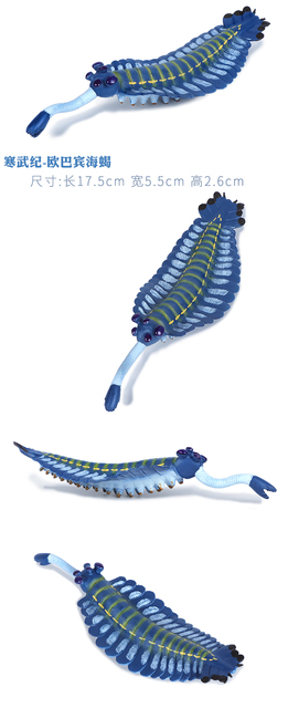 Symulacja starożytnego stworzenia morskiego - Eurypterida TRILONITES. Model zabawki przedstawiający głowę dziwnej krewetki, żółwia, skorpiona. Prezent dla miłośników dinozaurów - Wianko - 2