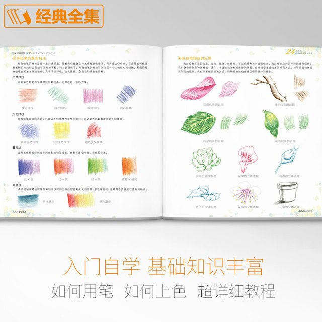 Książka o rysunku ołówkiem - Chińskie kwiaty: podręcznik sztuki z 24 rodzajami akwareli - Wianko - 2