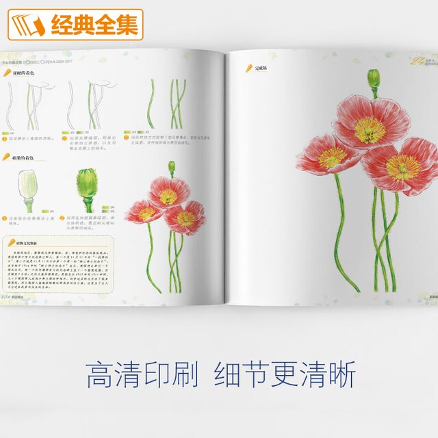 Książka o rysunku ołówkiem - Chińskie kwiaty: podręcznik sztuki z 24 rodzajami akwareli - Wianko - 4