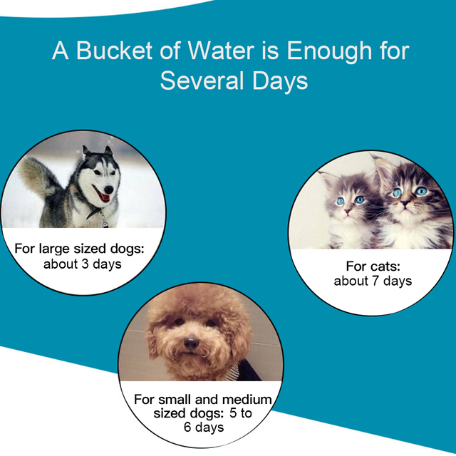 Poidło automatyczne dla zwierząt domowych - 3.8L - plastikowa miska na wodę dla psa i kota - Wianko - 13