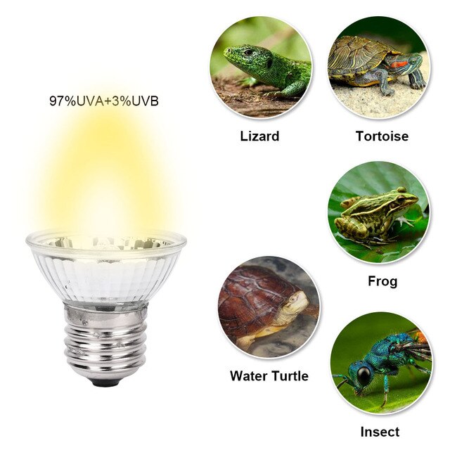 Lampa żarówkowa do ogrzewania i oświetlenia żółwia z uchwytem, działająca nocą, 25W 50W 75W - Wianko - 4