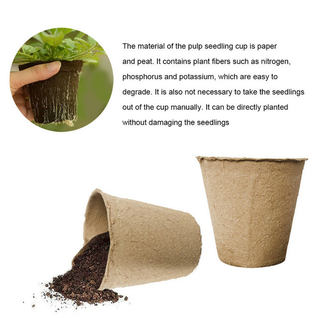 50 sztuk biodegradowalnych ekologicznych doniczek papierowych do sadzonek roślin z zestawem startowym nasion ziół - Wianko - 7