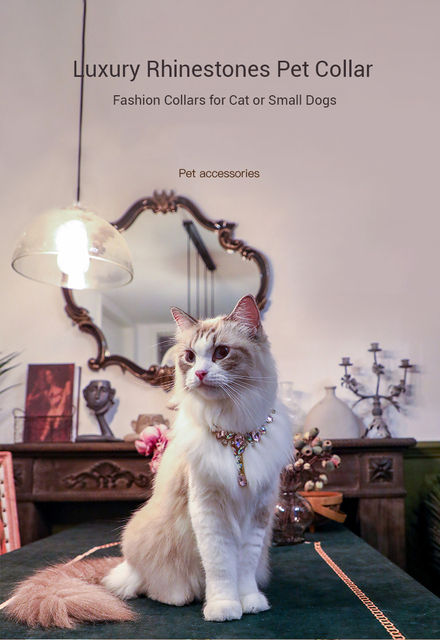 Duża obroża dla zwierząt – luksusowy kołnierz regulowany, z łańcuszkiem i ozdobiony strasem, idealny dla małych psów i kotów, elegancki dodatek dla zwierzęcych fashionistek - Wianko - 1