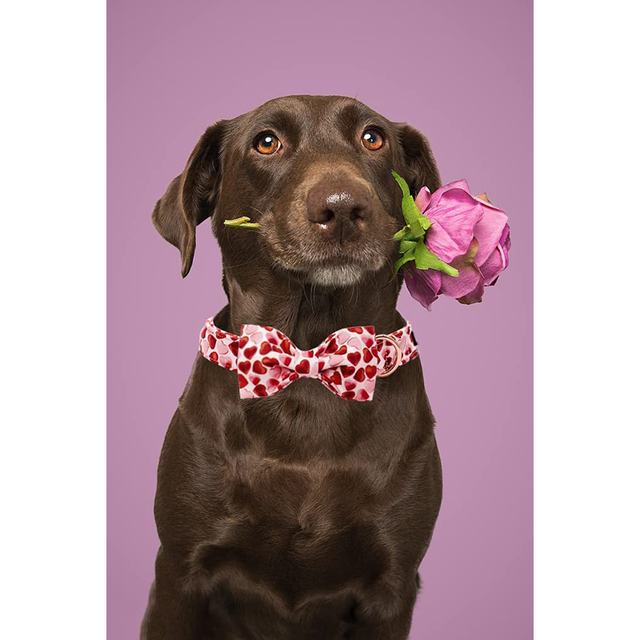 Regulowana obroża dla psa Valentine Red Heart z muszką - unikalny styl (duże, średnie, małe psy) - Wianko - 6