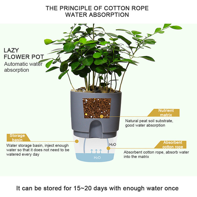 Automatyczna doniczka z koprem do hydroponiki - zielona, przezroczysta, absorpcja wody, idealna do sadzenia sukulentów - Wianko - 22