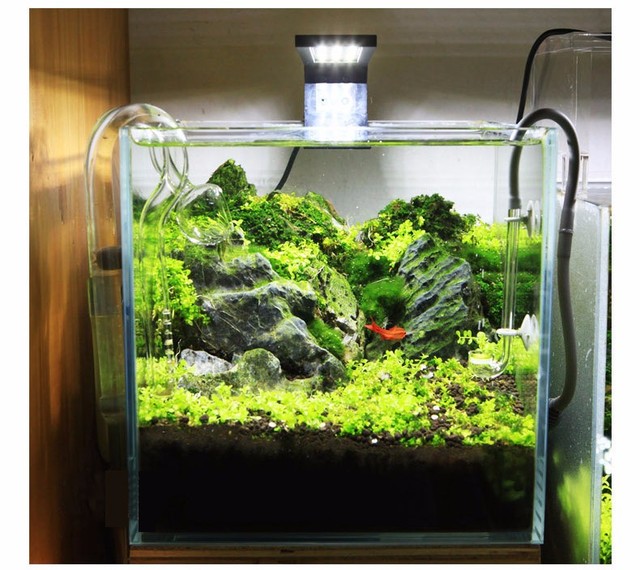 Lampa akwariowa LED Chihiros C z pełnym spektrum światła dla miniaturowego biurkowego zbiornika z trawą wodną - Wianko - 12