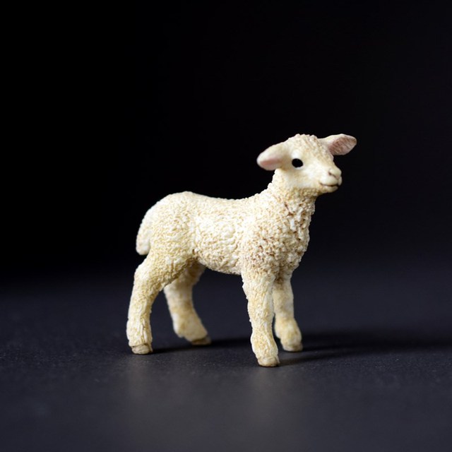5cm PVC modele owiec jagnięcych - figurki zwierząt gospodarskich, zabawki i prezenty - Wianko - 7