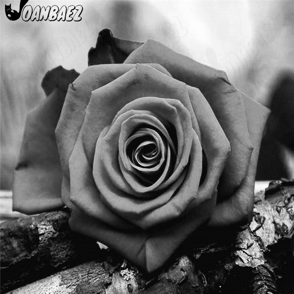 Diamentowa Róża - Haft krzyżykowy 5D DIY - Czarno-biały - Zestaw dekoracyjny - Wianko - 8