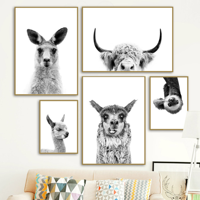 Obraz ścienny na płótnie Czarne i białe zwierzęta: alpaka, kangur, wydra, krowa - dekoracyjne zdjęcia do pokoju dziecięcego - Wianko - 3