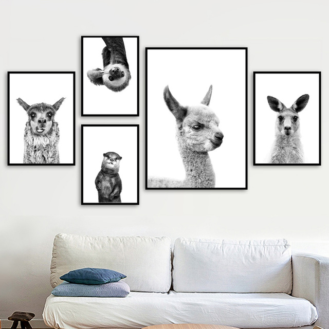 Obraz ścienny na płótnie Czarne i białe zwierzęta: alpaka, kangur, wydra, krowa - dekoracyjne zdjęcia do pokoju dziecięcego - Wianko - 4