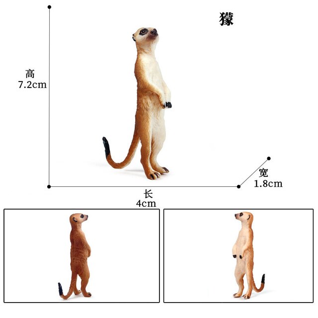 Figurka zwierzęca Meerkat z tworzywa sztucznego - dekoracyjny model do domu, prezenty dla dzieci - Wianko - 9