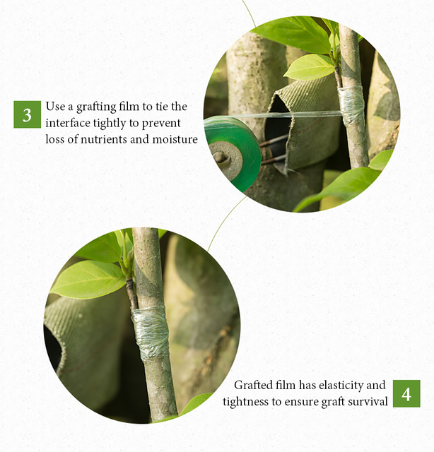 Taśma do szczepienia roślin 2/3/5CM - narzędzie do ogródka do przywiązywania pnia oddziału drzew owocowych - pas akcesoriów Engraft PVC - sekator sekatory ogrodnicze - krawat wiążący film dodatek ogrodnictwo ZXH - Wianko - 13