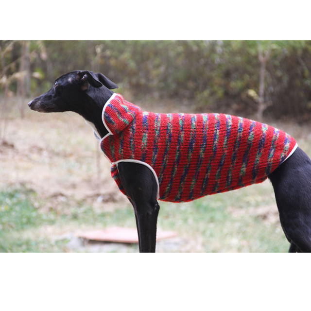 Ciepły polarowy sweter dla psa - wyścigowy ubranko dla Whippet Greyhound o jakim informowano - Wianko - 6