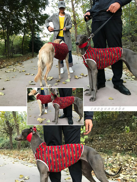 Ciepły polarowy sweter dla psa - wyścigowy ubranko dla Whippet Greyhound o jakim informowano - Wianko - 7