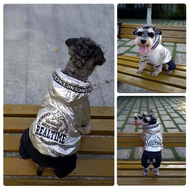 Luksusowa kurtka zimowa dla małych psów - srebrna, polarowa, z kapturem - Wianko - 2