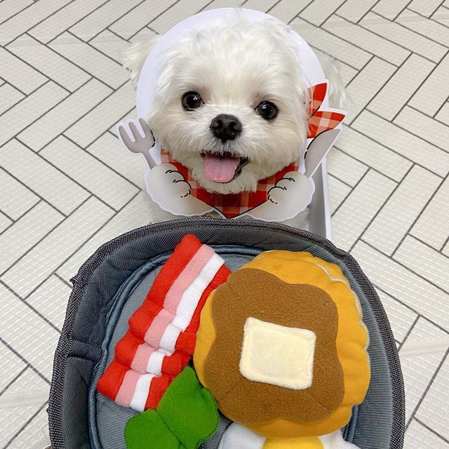 Pluszowy pies zabawka dla psa z dźwiękiem - Koreański śniadanie boczek jajko w koszulce - Omurice kot Puppy Chew - zabawki interaktywne - Wianko - 7