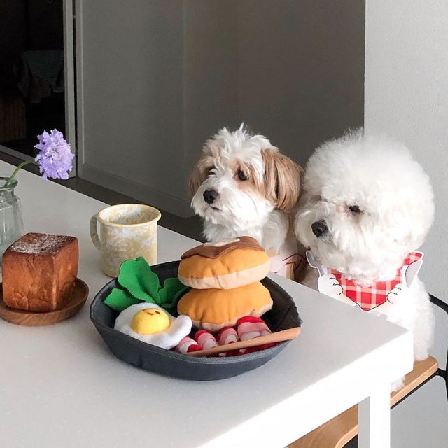 Pluszowy pies zabawka dla psa z dźwiękiem - Koreański śniadanie boczek jajko w koszulce - Omurice kot Puppy Chew - zabawki interaktywne - Wianko - 14