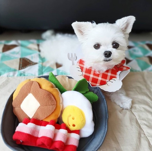 Pluszowy pies zabawka dla psa z dźwiękiem - Koreański śniadanie boczek jajko w koszulce - Omurice kot Puppy Chew - zabawki interaktywne - Wianko - 15