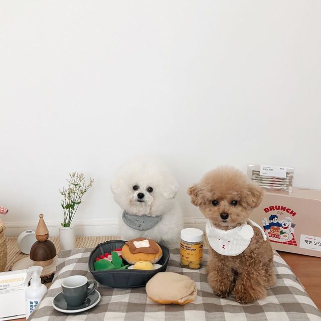 Pluszowy pies zabawka dla psa z dźwiękiem - Koreański śniadanie boczek jajko w koszulce - Omurice kot Puppy Chew - zabawki interaktywne - Wianko - 12