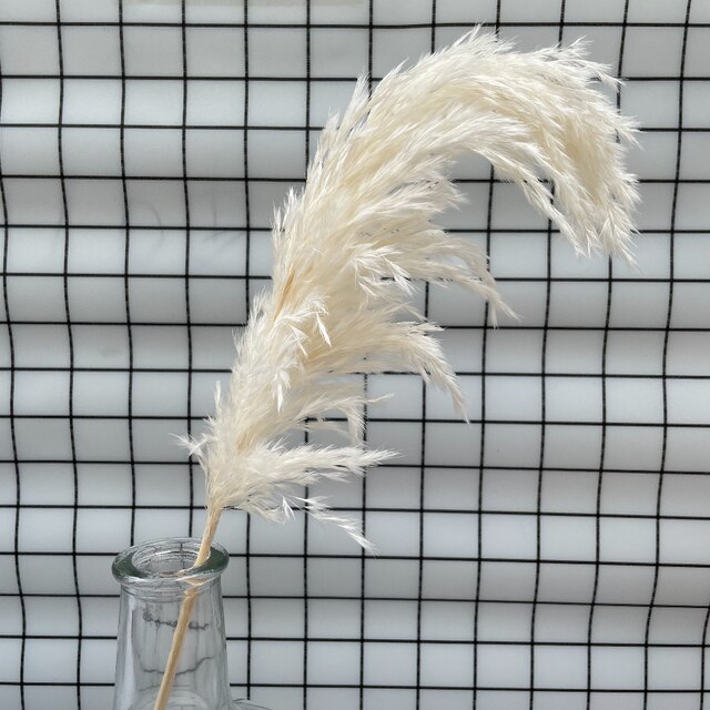 Biała suszona trawa pampas, 20 łodyg - idealna do dekoracji ślubnych, prezentów świątecznych i wystroju domu - Wianko - 6