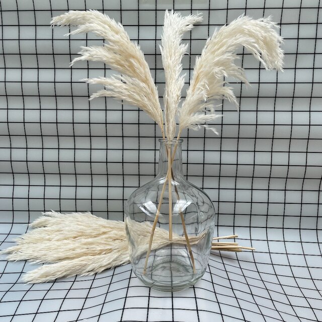 Biała suszona trawa pampas, 20 łodyg - idealna do dekoracji ślubnych, prezentów świątecznych i wystroju domu - Wianko - 2