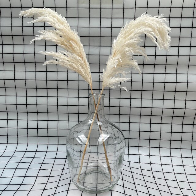 Biała suszona trawa pampas, 20 łodyg - idealna do dekoracji ślubnych, prezentów świątecznych i wystroju domu - Wianko - 3