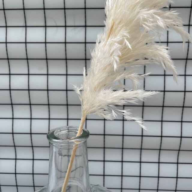 Biała suszona trawa pampas, 20 łodyg - idealna do dekoracji ślubnych, prezentów świątecznych i wystroju domu - Wianko - 8