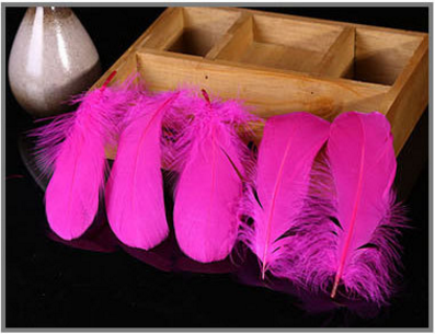 Naturalne kolorowe pióra gęsie pióro 10-15cm - 50 sztuk na ślub, dekoracje domowe, imprezy, DIY i biżuterię - Wianko - 25