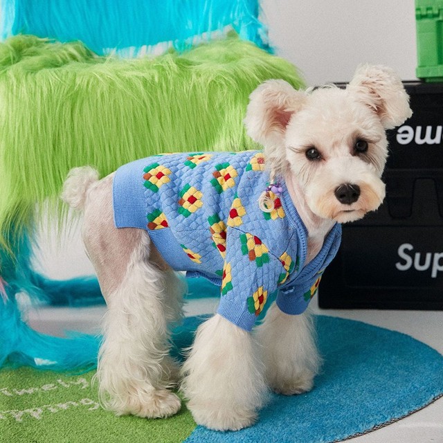 Sweter zimowy dla psów - ciepły, bawełniany z uroczym wzorem pieska - dla małych i średnich ras Chihuahua - Wianko - 14