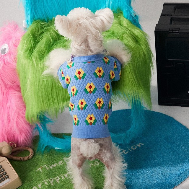 Sweter zimowy dla psów - ciepły, bawełniany z uroczym wzorem pieska - dla małych i średnich ras Chihuahua - Wianko - 5