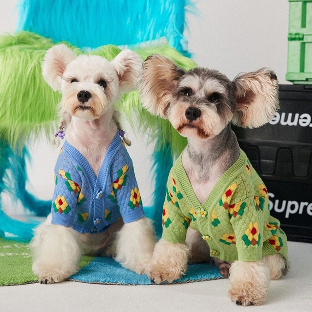 Sweter zimowy dla psów - ciepły, bawełniany z uroczym wzorem pieska - dla małych i średnich ras Chihuahua - Wianko - 10