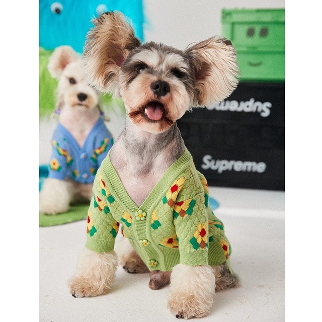 Sweter zimowy dla psów - ciepły, bawełniany z uroczym wzorem pieska - dla małych i średnich ras Chihuahua - Wianko - 2