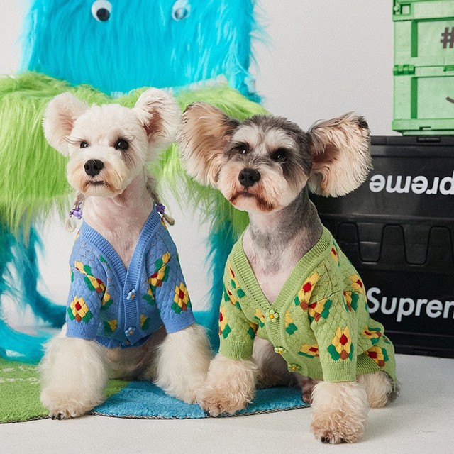 Sweter zimowy dla psów - ciepły, bawełniany z uroczym wzorem pieska - dla małych i średnich ras Chihuahua - Wianko - 4