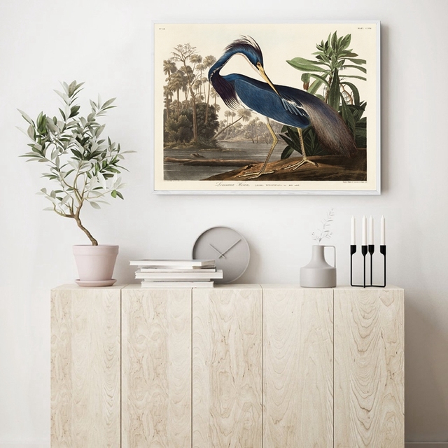 Malarstwo: Luizjana czapla z ptaków amerykańskich - obraz na płótnie z motywem zwierząt przyrody do dekoracji wnętrz kuchni i domu - Wianko - 4