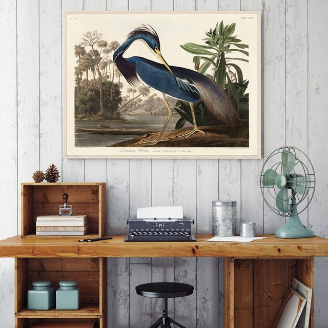 Malarstwo: Luizjana czapla z ptaków amerykańskich - obraz na płótnie z motywem zwierząt przyrody do dekoracji wnętrz kuchni i domu - Wianko - 3