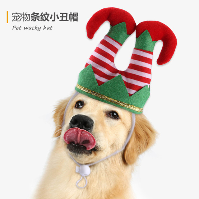 Czapka z klaunem dla psów na Boże Narodzenie - śmieszny dodatek dla zwierząt na jesień i zimę - Wianko - 1