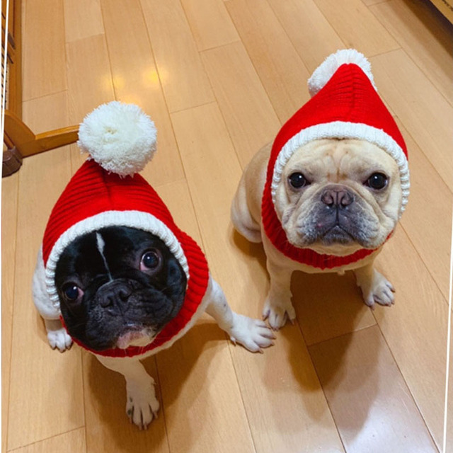 Zimowa czapka świąteczna dla psa - ciepła, mała, dla małych i średnich psów - Wianko - 3
