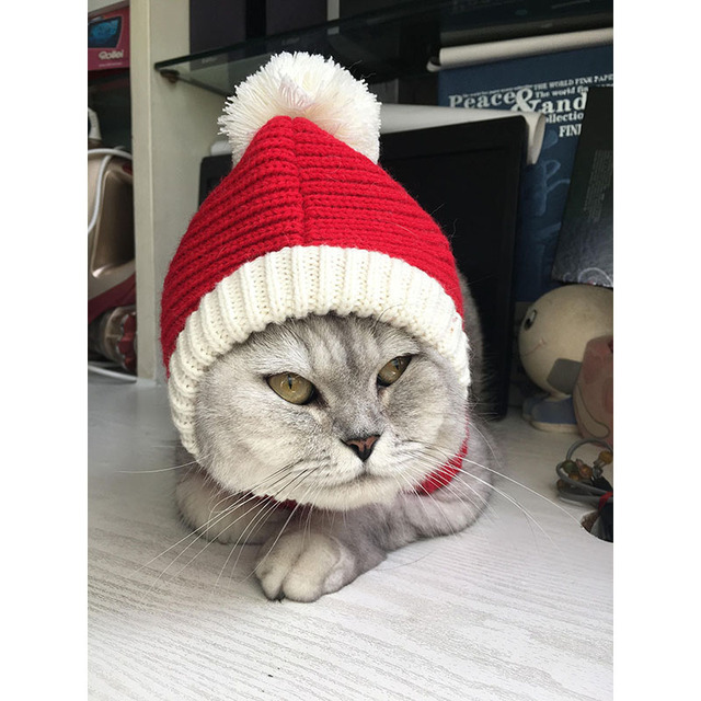 Zimowa czapka świąteczna dla psa - ciepła, mała, dla małych i średnich psów - Wianko - 5