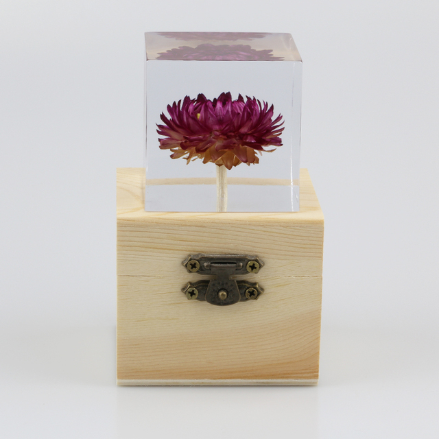 Figurka Róży z żywicy Daisy Cube - kryształowy dmuchawiec w naturalnym wzorze roślin, prezent świąteczny z drewnianym pudełkiem - Wianko - 10