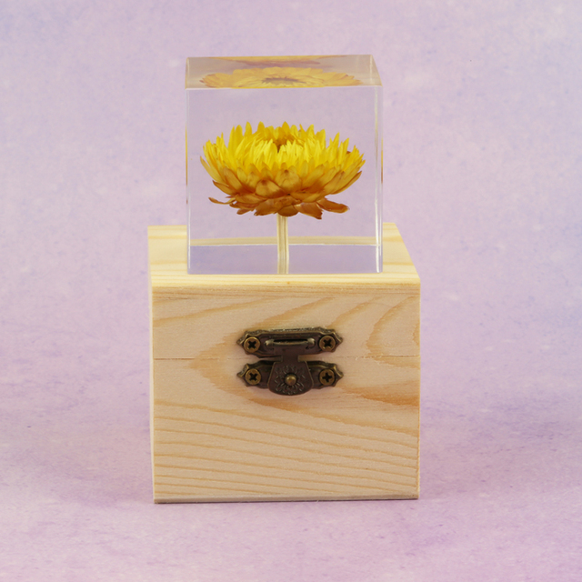 Figurka Róży z żywicy Daisy Cube - kryształowy dmuchawiec w naturalnym wzorze roślin, prezent świąteczny z drewnianym pudełkiem - Wianko - 8