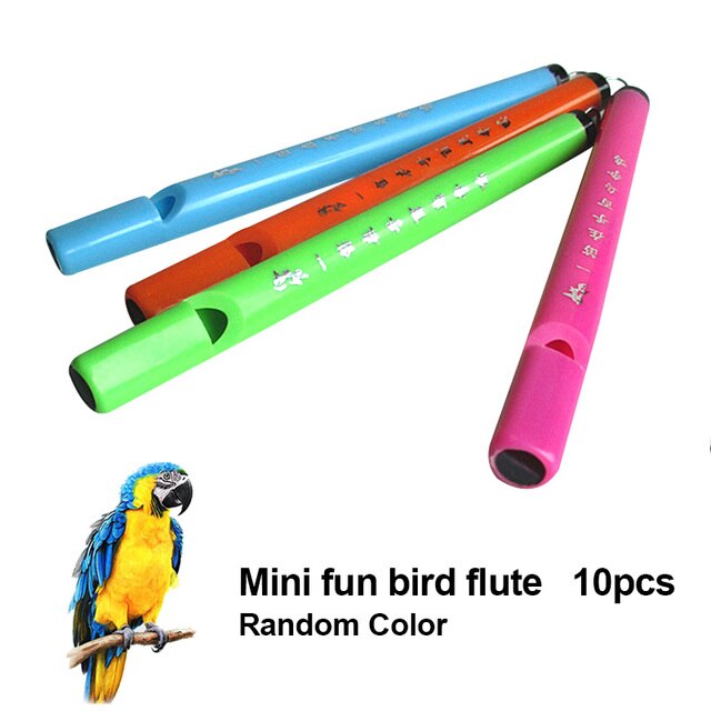 10 sztuk bambusowych fletów ptaków - muzyczne, edukacyjne narzędzia plastikowe dla dzieci, idealne na prezenty i zabawę (флейта instrumentos musicais QW) - Wianko - 1
