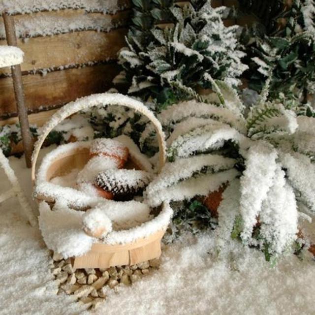 Instant Snow Powder - sztuczne chłonne płatki śniegu do ozdób świątecznych i dekoracji domu oraz ślubnych - Wianko - 11
