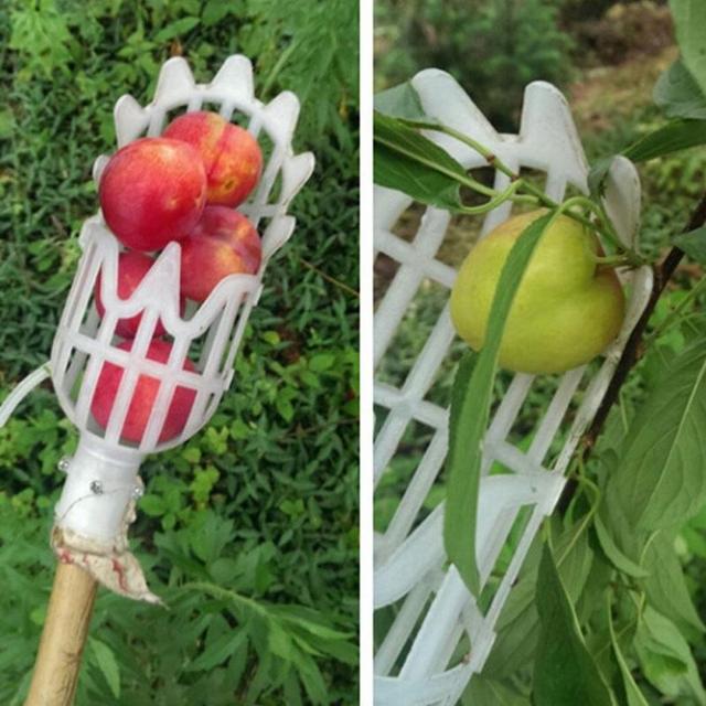 Zbierak owoców PlasticFruit Picking Tools – urządzenie do zbierania jabłek, cytrusów i gruszek - Wianko - 4