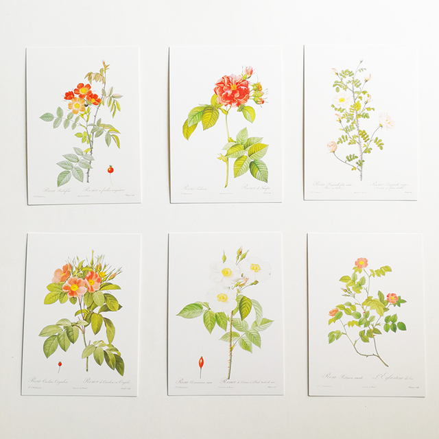 Wizytownik z 32 sztukami Rose pocztówki Les Roses Pierre-Joseph Redoute 153 x110mm - Wianko - 5