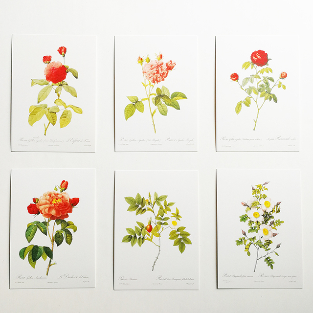 Wizytownik z 32 sztukami Rose pocztówki Les Roses Pierre-Joseph Redoute 153 x110mm - Wianko - 3