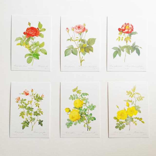 Wizytownik z 32 sztukami Rose pocztówki Les Roses Pierre-Joseph Redoute 153 x110mm - Wianko - 4
