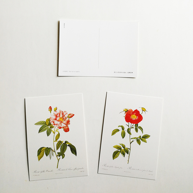 Wizytownik z 32 sztukami Rose pocztówki Les Roses Pierre-Joseph Redoute 153 x110mm - Wianko - 1